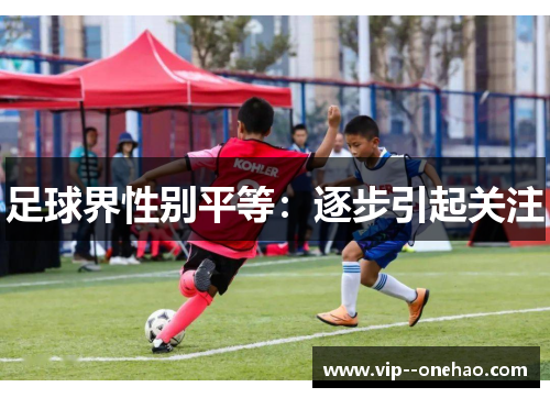 足球界性别平等：逐步引起关注