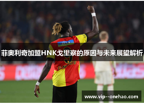 菲奥利奇加盟HNK戈里察的原因与未来展望解析